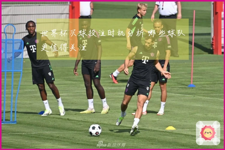 世界杯买球投注时机分析 哪些球队更值得关注