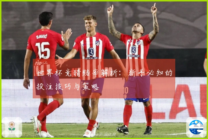 世界杯竞猜赔率解析：新手必知的投注技巧与策略