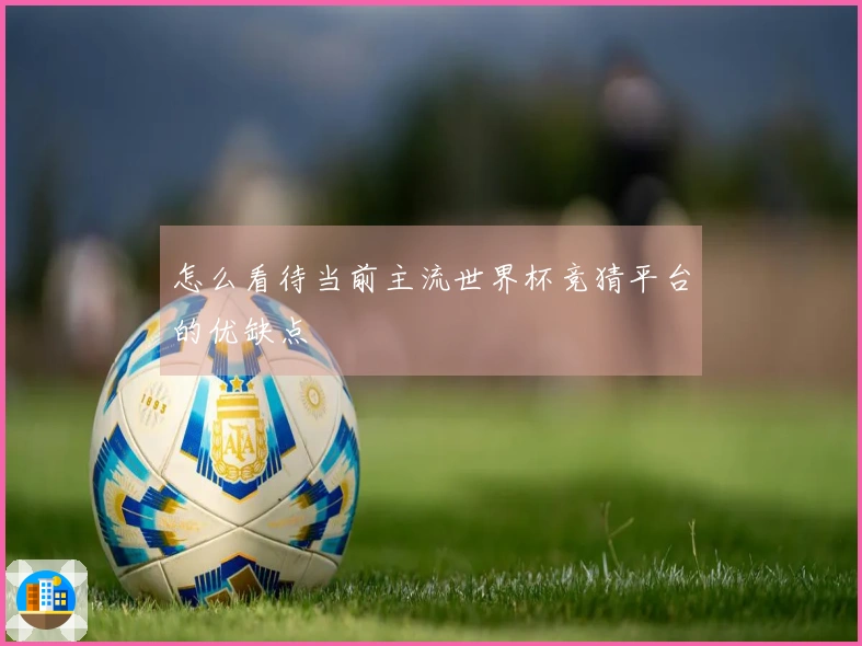 怎么看待当前主流世界杯竞猜平台的优缺点