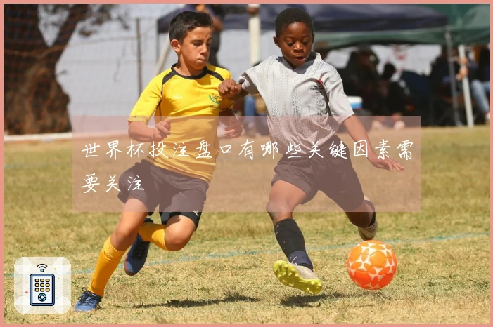 世界杯投注盘口有哪些关键因素需要关注