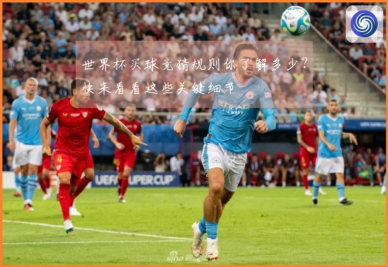 世界杯买球竞猜规则你了解多少？快来看看这些关键细节