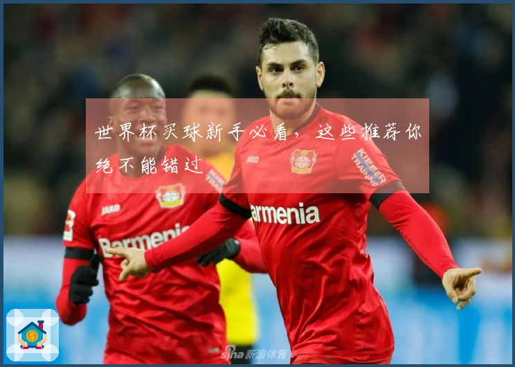 世界杯买球新手必看，这些推荐你绝不能错过