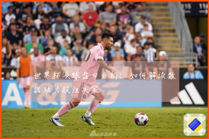 世界杯滚球盘口分析：如何解读数据助力投注决策