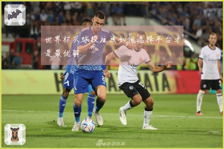 世界杯买球投注该如何选择平台才是最优解